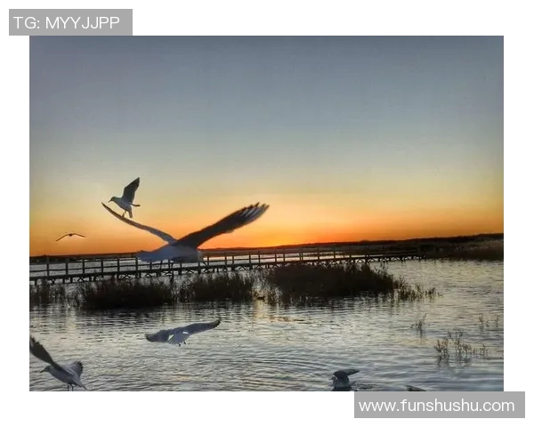 自由自在DJ足球明星的激情碰撞与梦想追逐之旅